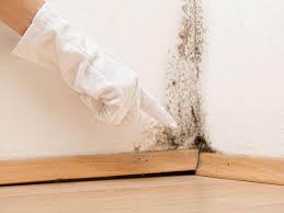 Best Residential Mold Inspection & Testing  in Ashland, OR